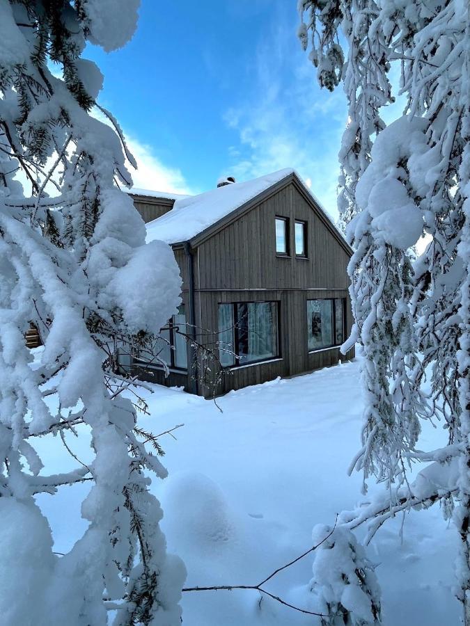 Martebaecken 21 Villa Sälen Buitenkant foto